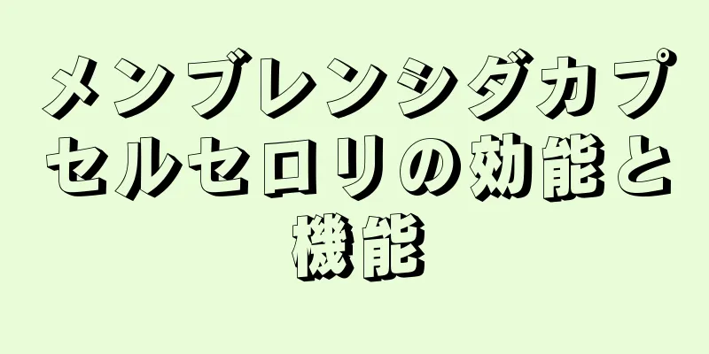 メンブレンシダカプセルセロリの効能と機能