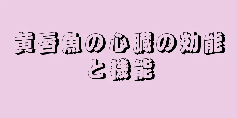 黄唇魚の心臓の効能と機能