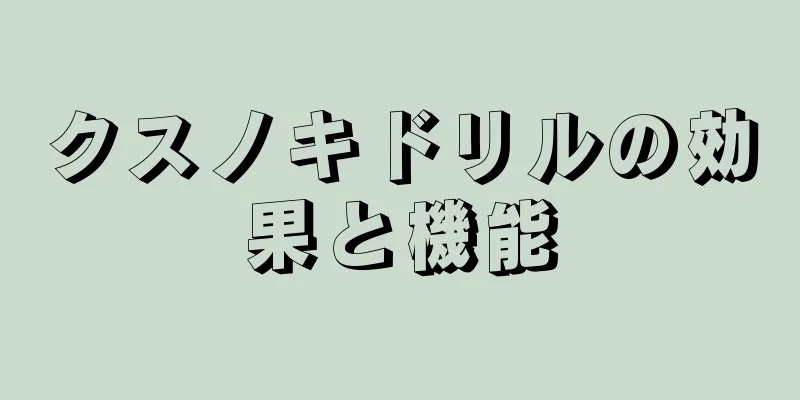 クスノキドリルの効果と機能