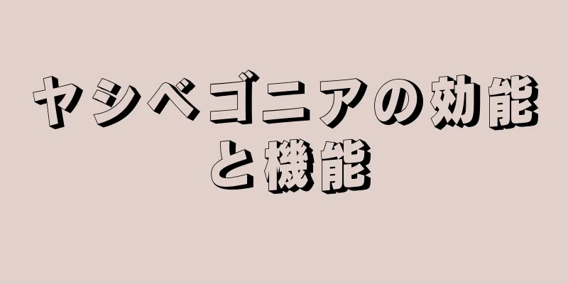 ヤシベゴニアの効能と機能