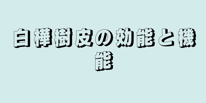 白樺樹皮の効能と機能