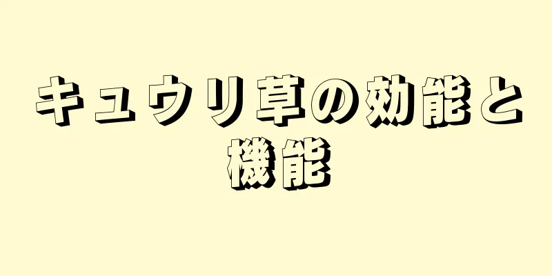 キュウリ草の効能と機能