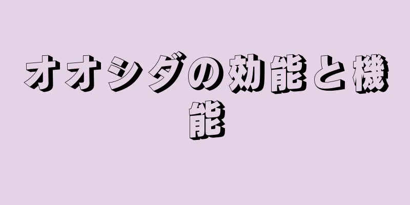 オオシダの効能と機能