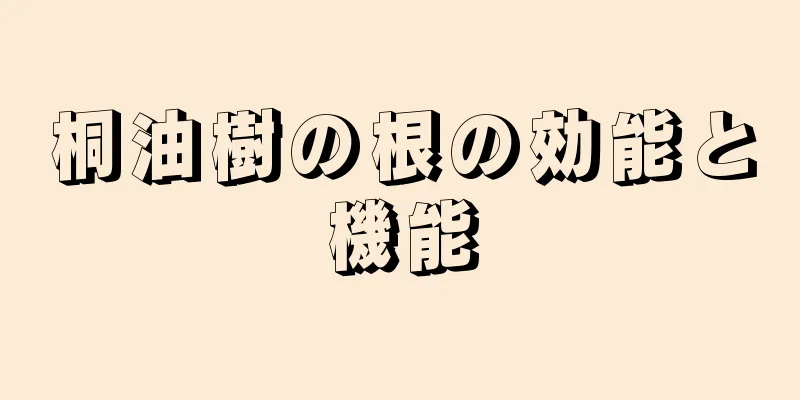 桐油樹の根の効能と機能
