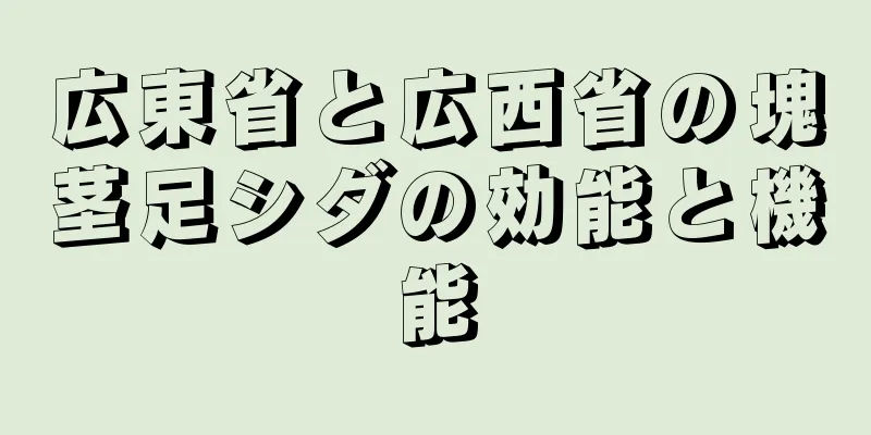 広東省と広西省の塊茎足シダの効能と機能