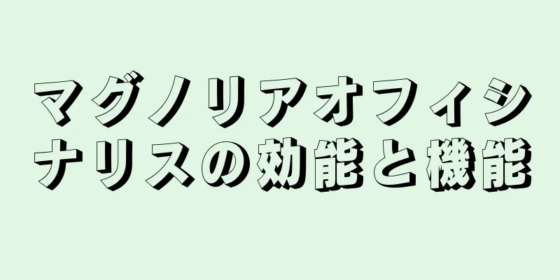 マグノリアオフィシナリスの効能と機能