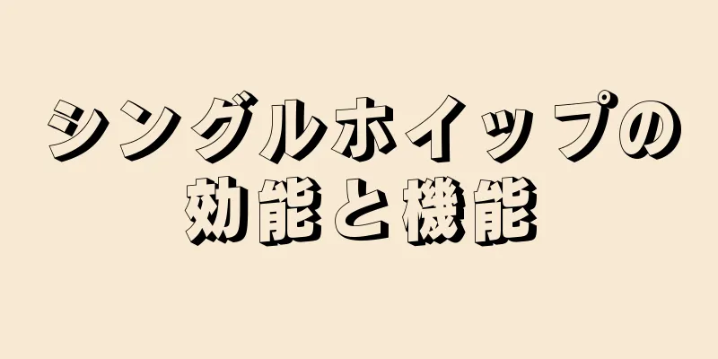 シングルホイップの効能と機能