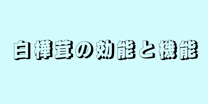 白樺茸の効能と機能