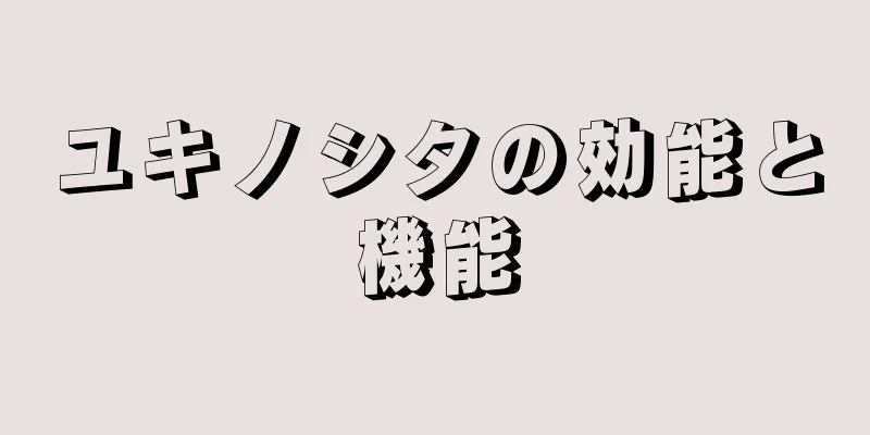 ユキノシタの効能と機能