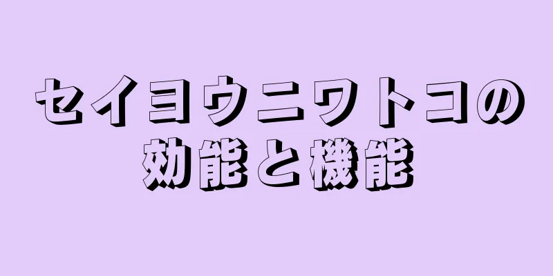 セイヨウニワトコの効能と機能