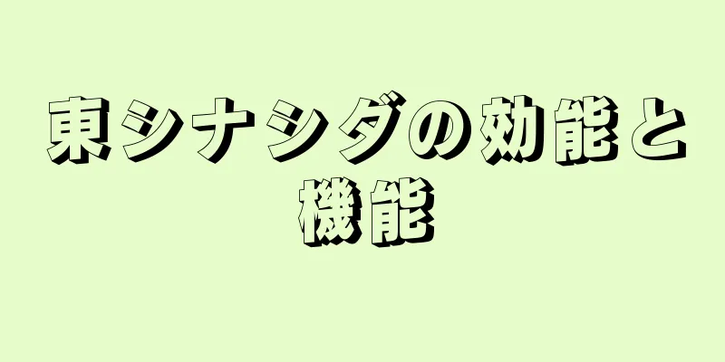 東シナシダの効能と機能