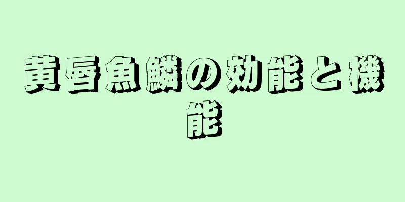 黄唇魚鱗の効能と機能
