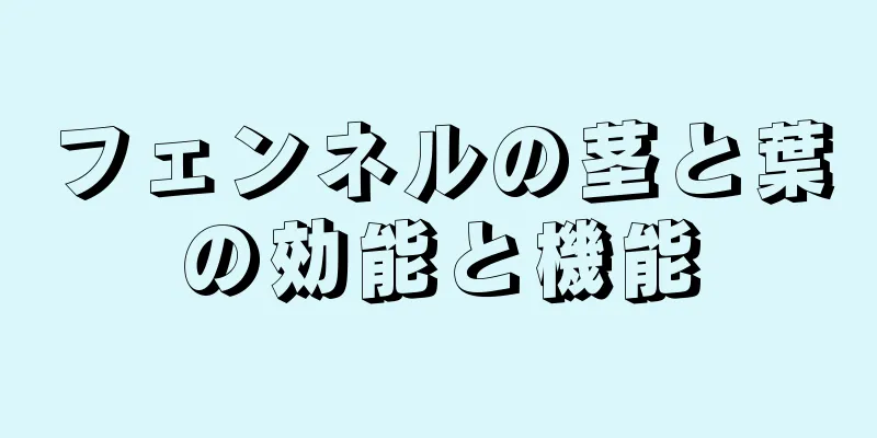フェンネルの茎と葉の効能と機能