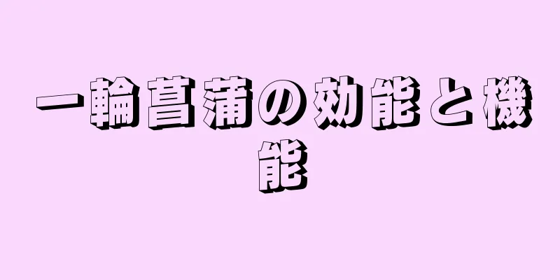 一輪菖蒲の効能と機能