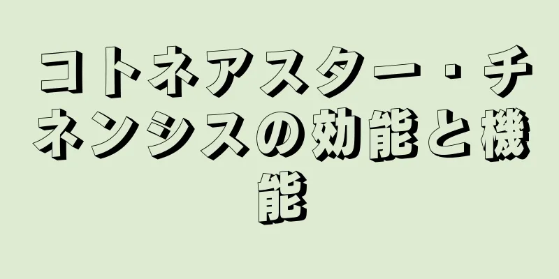 コトネアスター・チネンシスの効能と機能