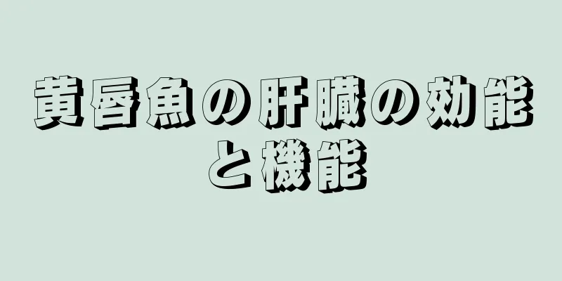 黄唇魚の肝臓の効能と機能