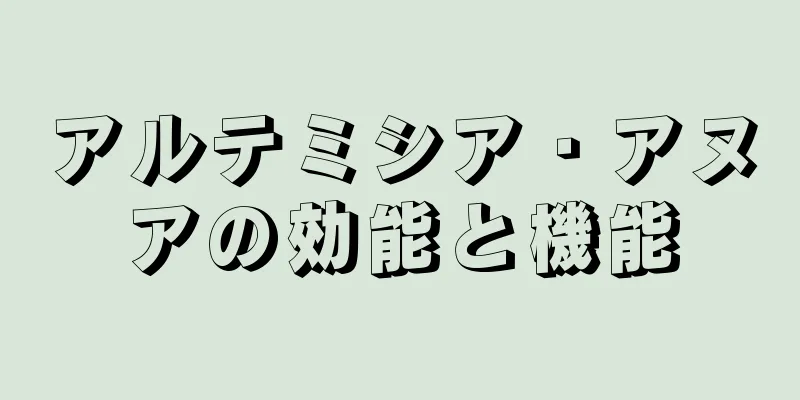 アルテミシア・アヌアの効能と機能