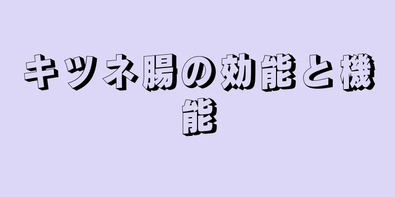 キツネ腸の効能と機能