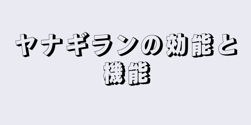 ヤナギランの効能と機能