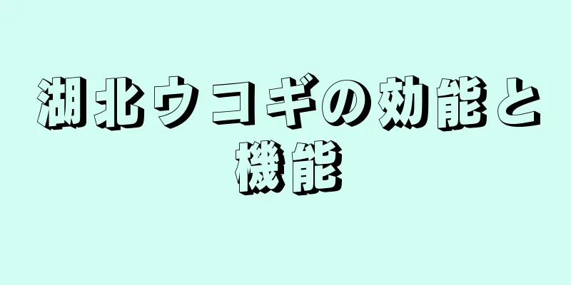 湖北ウコギの効能と機能