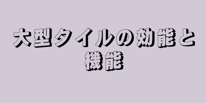 大型タイルの効能と機能