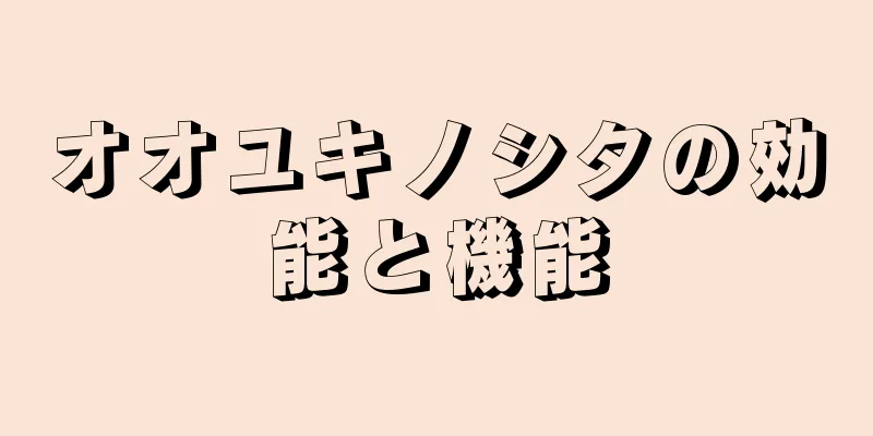 オオユキノシタの効能と機能