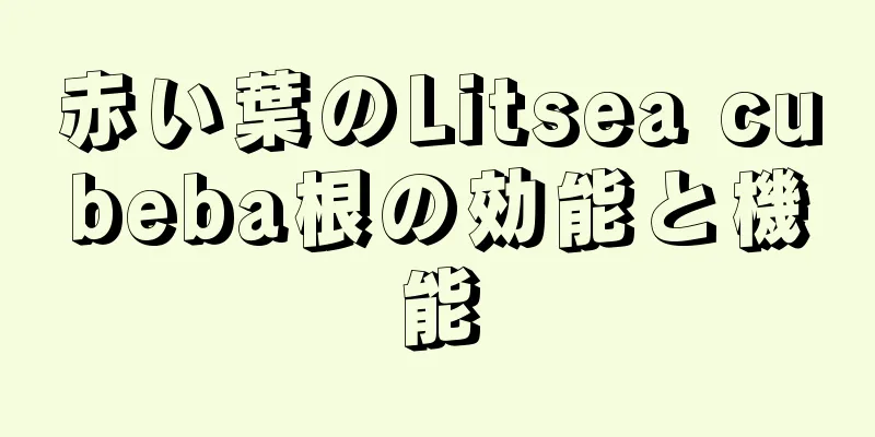 赤い葉のLitsea cubeba根の効能と機能