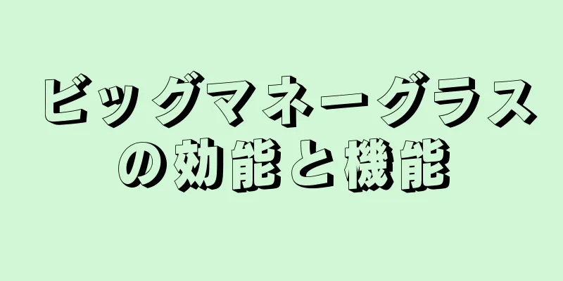 ビッグマネーグラスの効能と機能