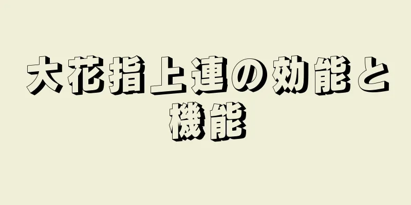大花指上連の効能と機能