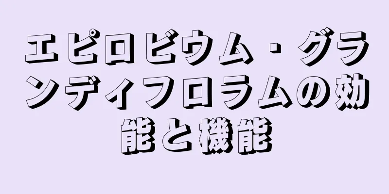 エピロビウム・グランディフロラムの効能と機能