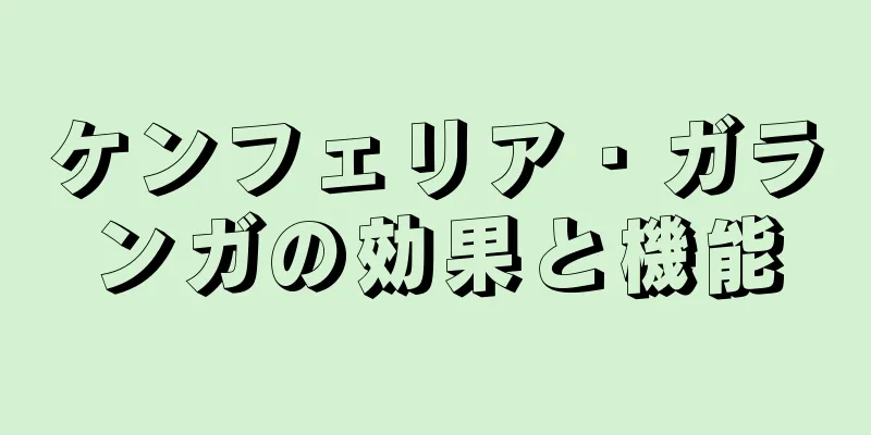 ケンフェリア・ガランガの効果と機能