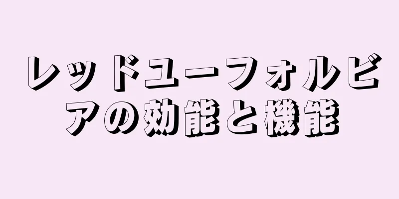 レッドユーフォルビアの効能と機能