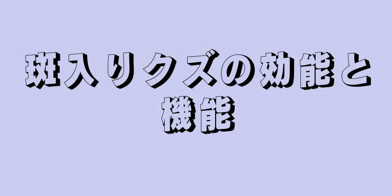 斑入りクズの効能と機能