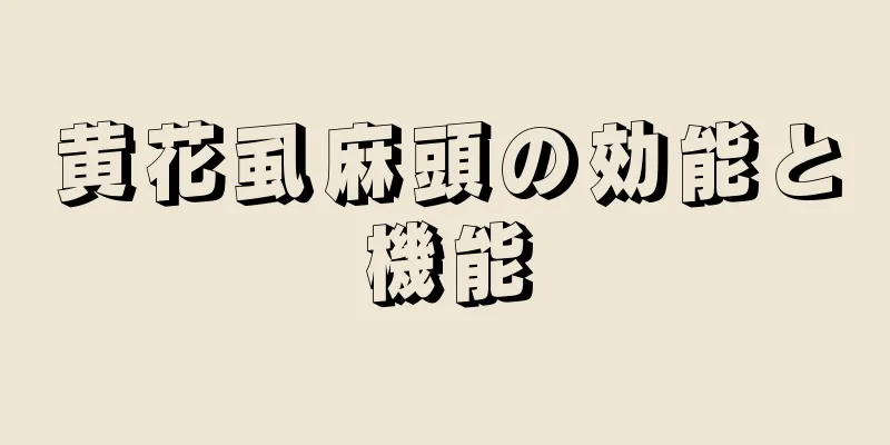 黄花虱麻頭の効能と機能