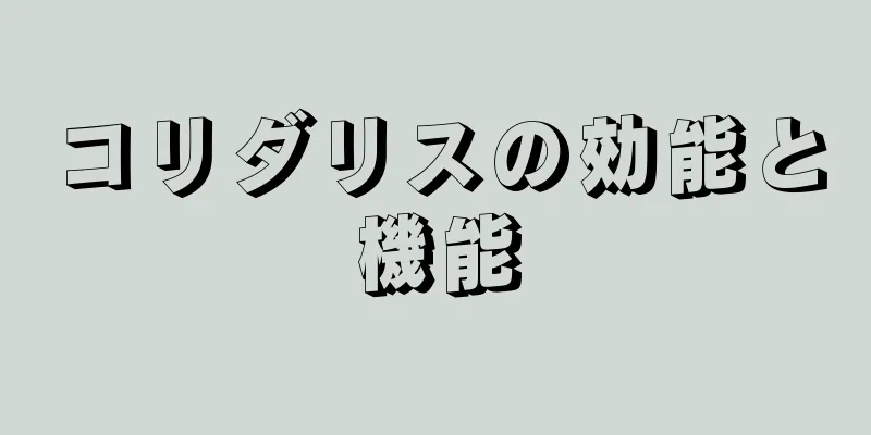 コリダリスの効能と機能
