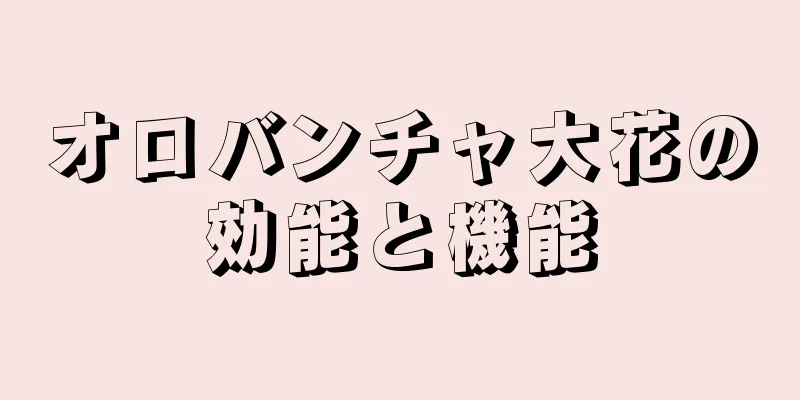 オロバンチャ大花の効能と機能