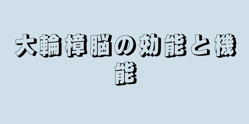 大輪樟脳の効能と機能