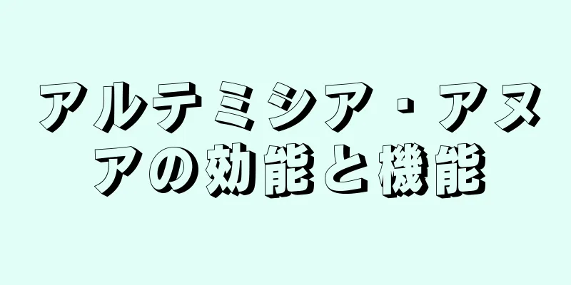アルテミシア・アヌアの効能と機能