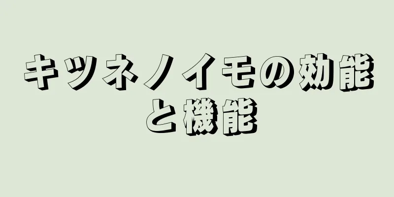 キツネノイモの効能と機能