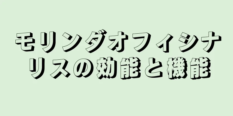 モリンダオフィシナリスの効能と機能