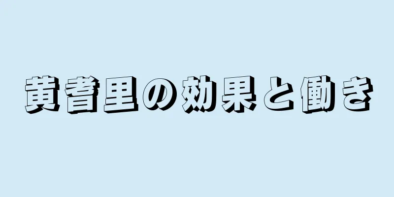 黄耆里の効果と働き