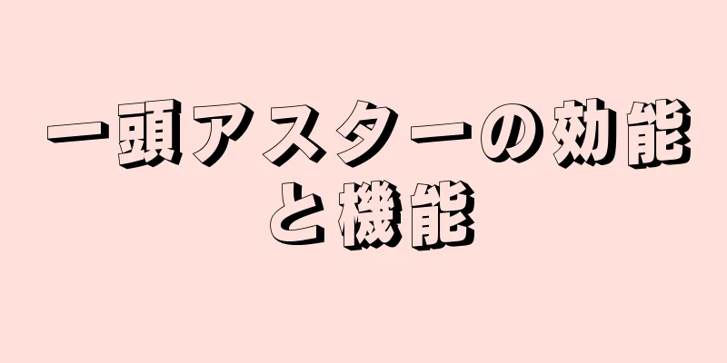 一頭アスターの効能と機能