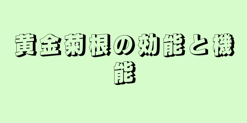 黄金菊根の効能と機能