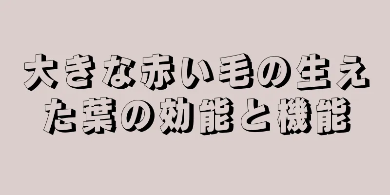 大きな赤い毛の生えた葉の効能と機能