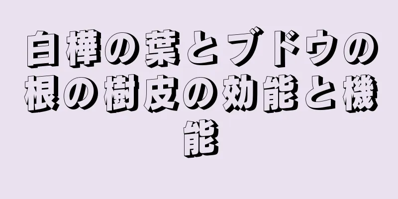 白樺の葉とブドウの根の樹皮の効能と機能