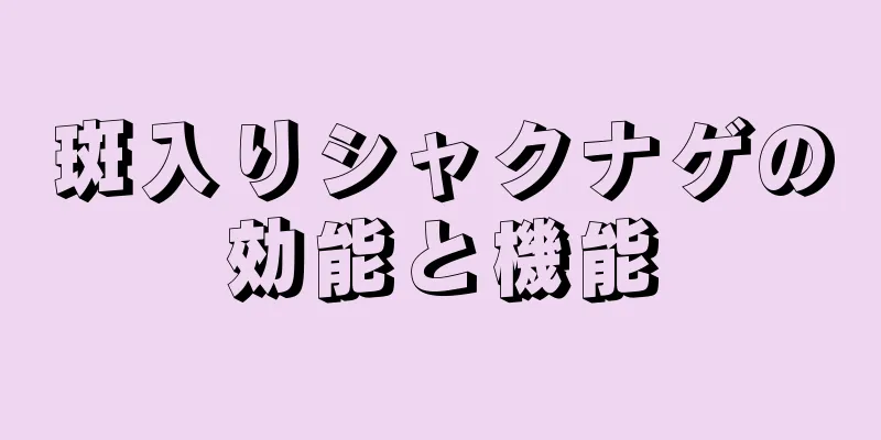 斑入りシャクナゲの効能と機能