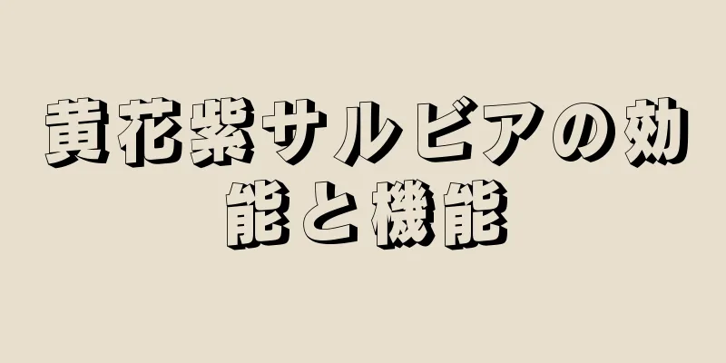 黄花紫サルビアの効能と機能