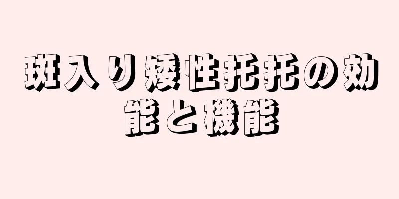 斑入り矮性托托の効能と機能