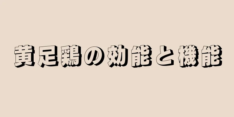 黄足鶏の効能と機能