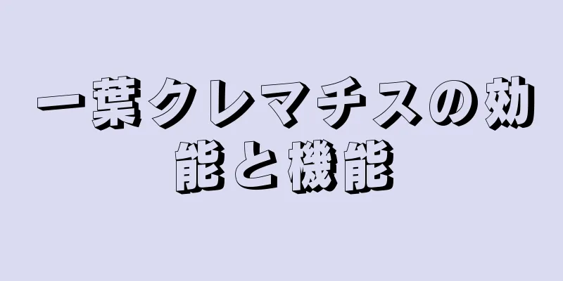 一葉クレマチスの効能と機能